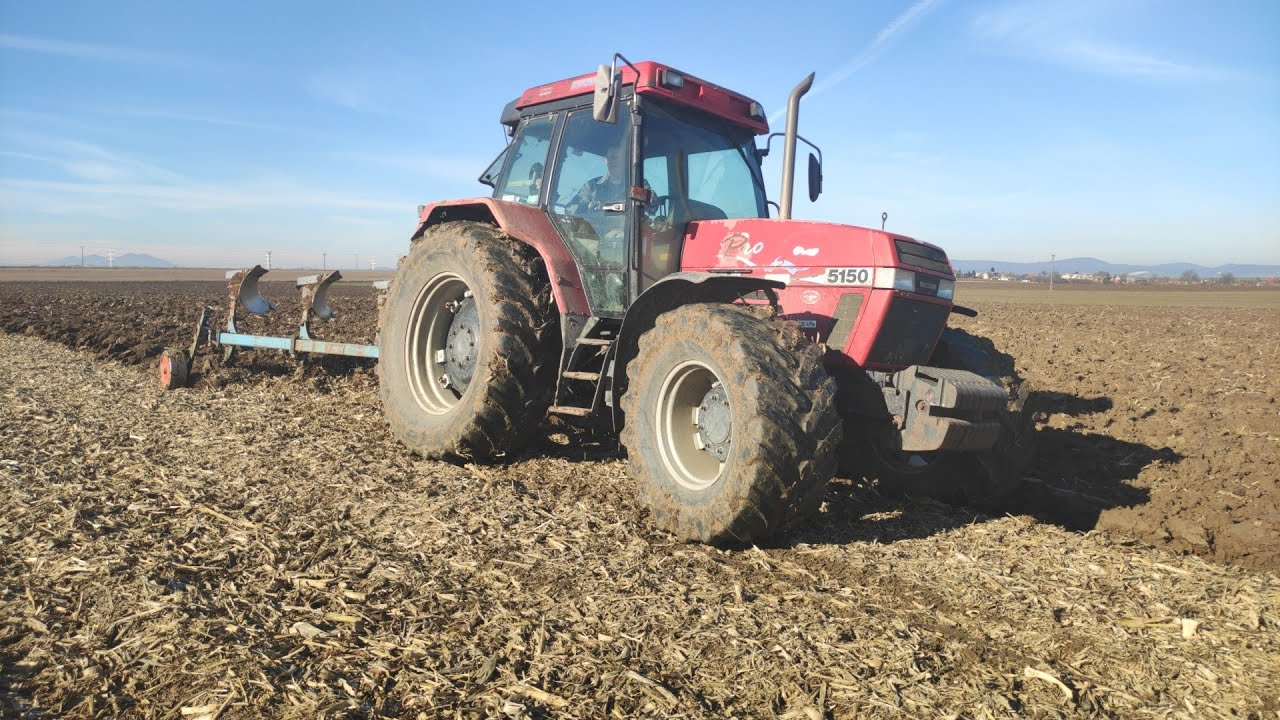 Case 5150 | Orba 2021