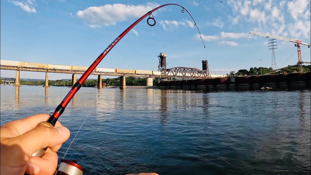INSANE BATTLE!!! MY BIGGEST FISH EVER CAUGHT ON AN ULTRALIGHT ROD!!!