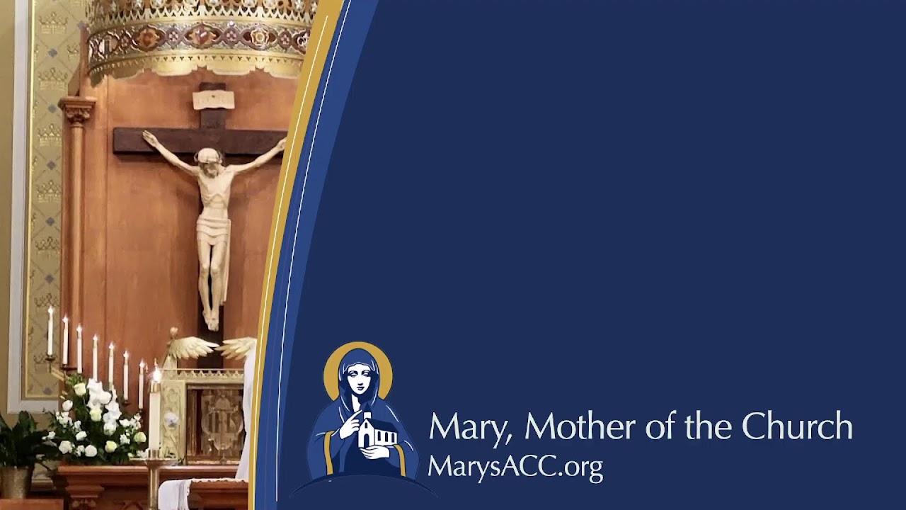 Mary Mother of the Church - Live