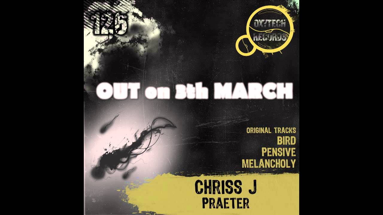 TECHNO MINIMAL 2014 : PRAETER EP