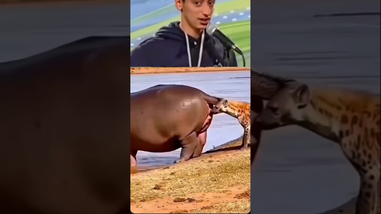 Try not laugh challenge 🤣 | wait for end | 