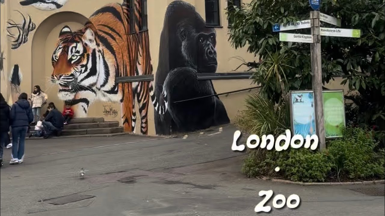 Exploring the London Zoo 🇬🇧| #vlog | 🎀Sumudz Diary 🎀
