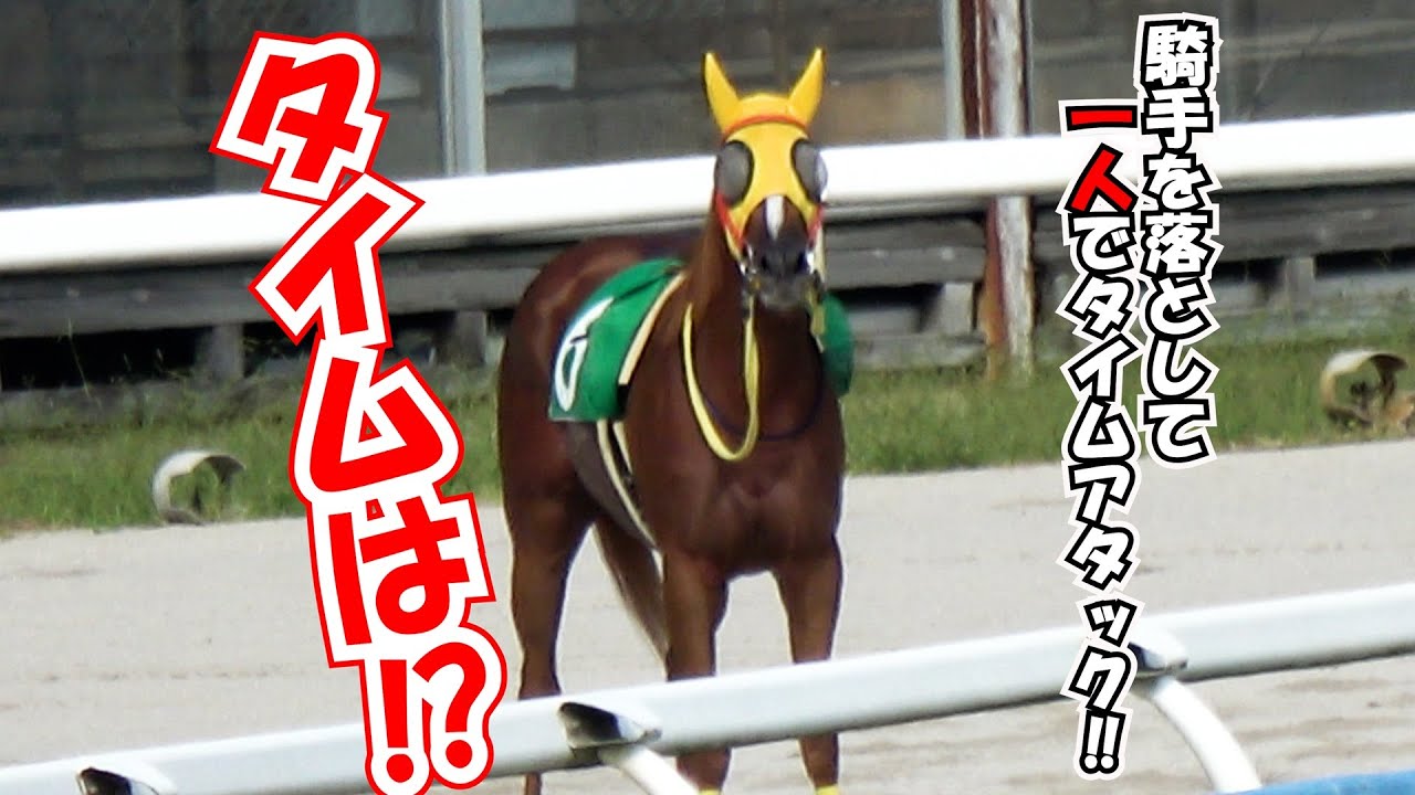 めちゃくちゃ可愛い‼一人でタイムアタックした⑥ゴールドマジカル 現地映像 【放馬】【落馬】