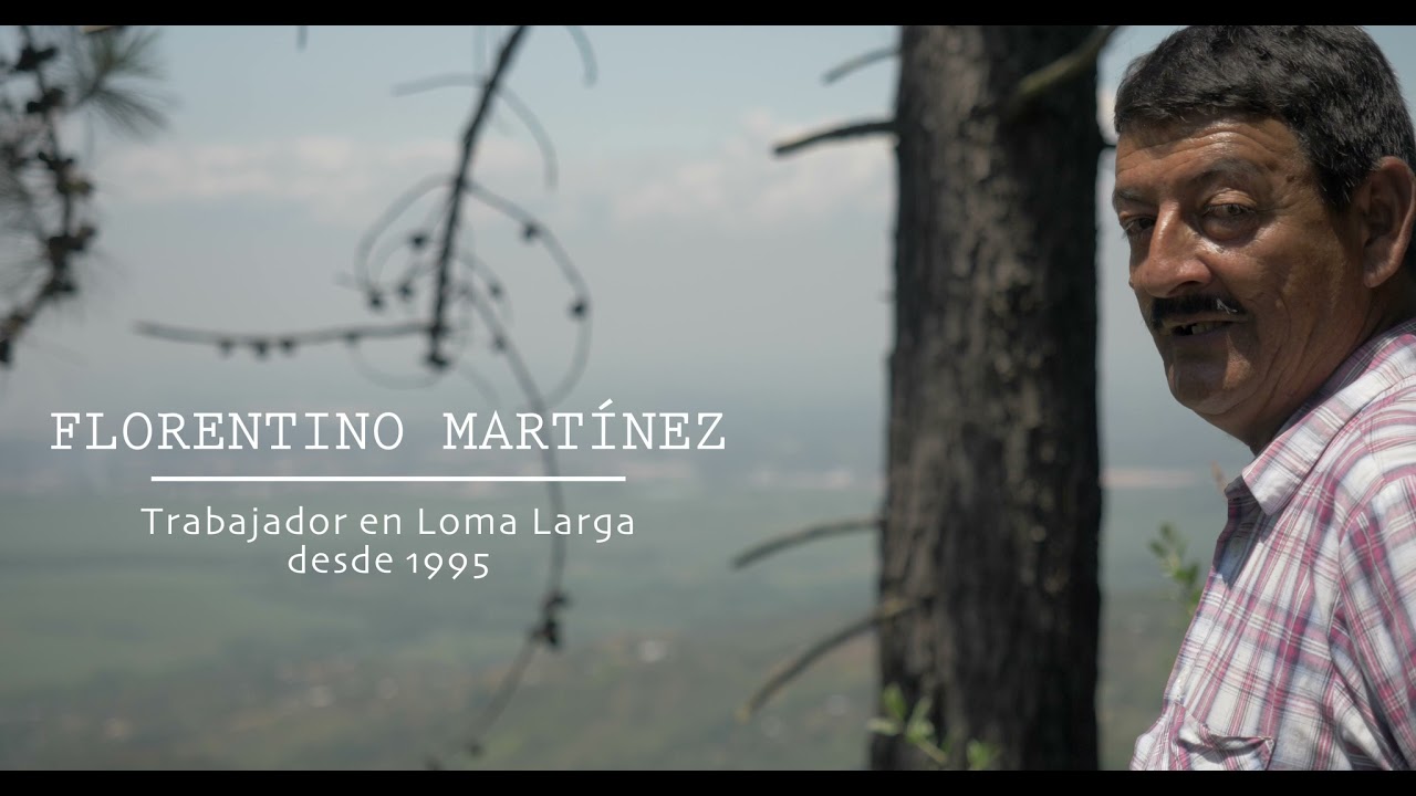 Video Institucional Proyecto de Vivienda Ambiental Cooperativa Loma Larga
