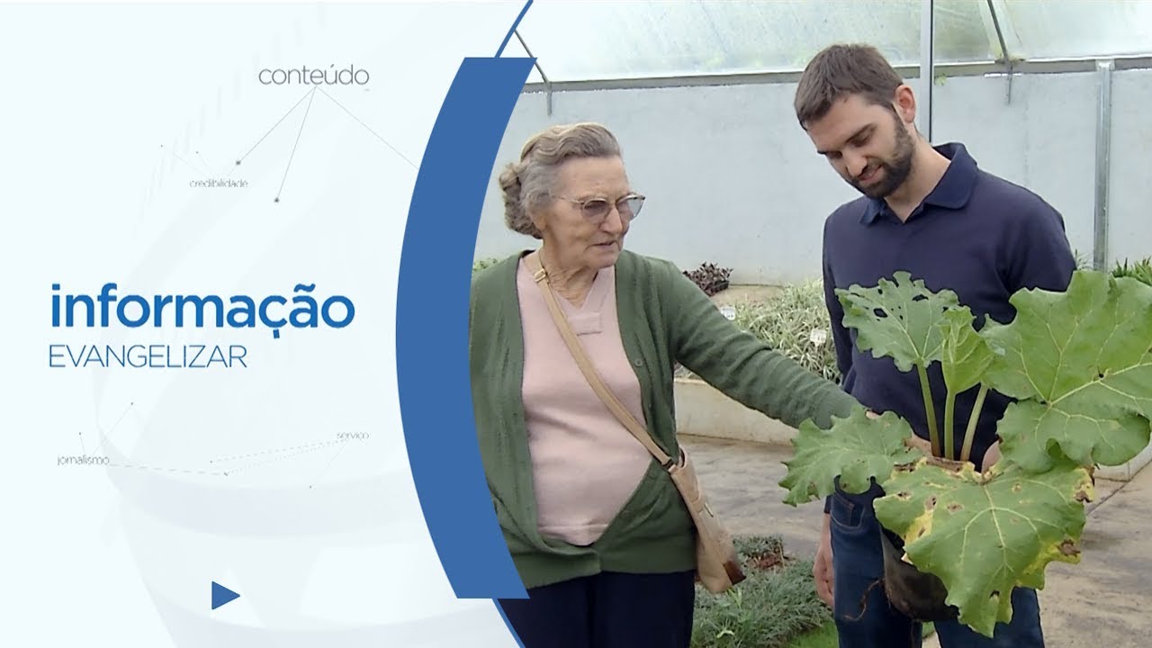 Planta Ruibarbo e seus benefícios [CC]