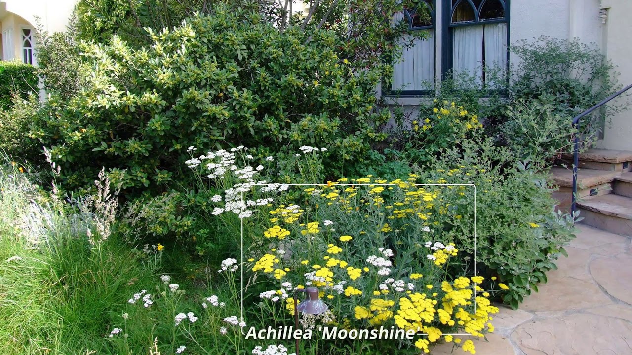 Garden of the Week  - Santa Barbara