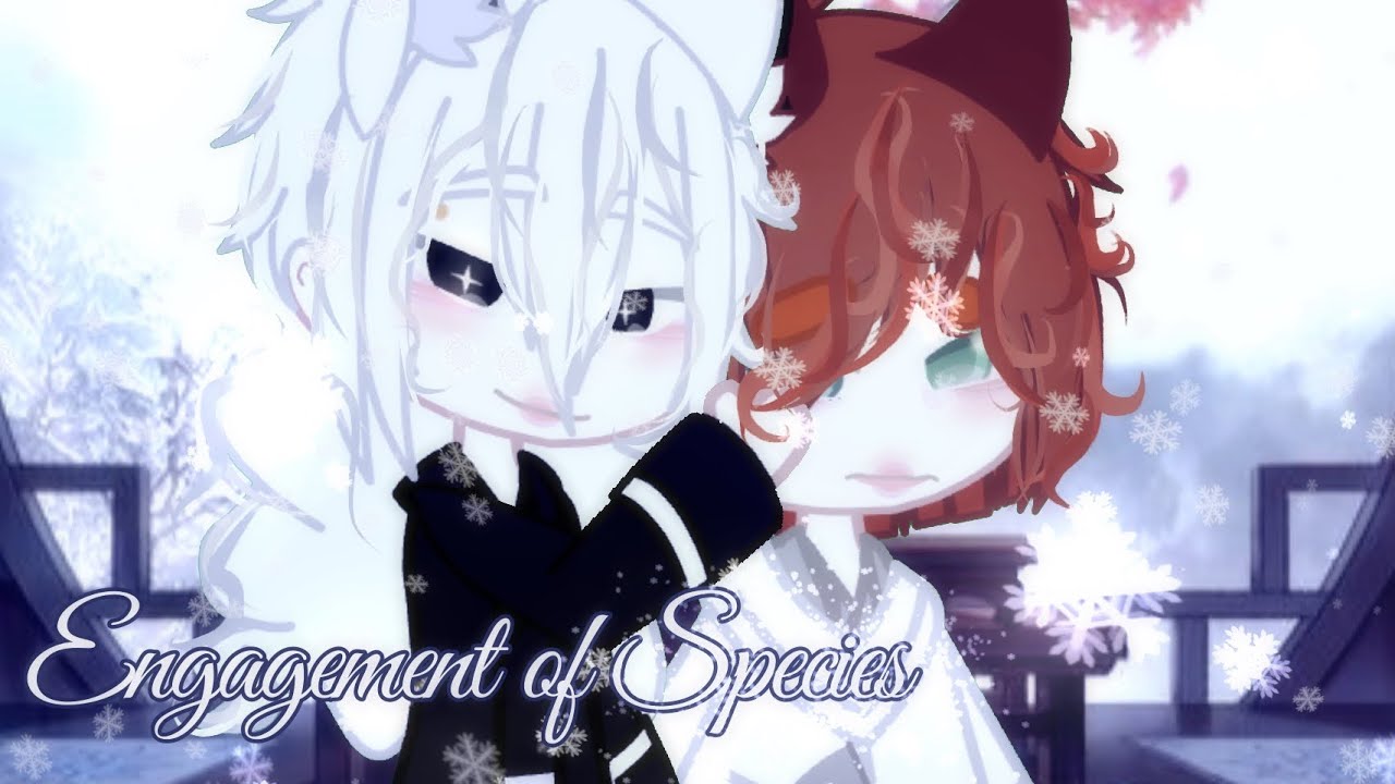 Engagement in Species ☻ BL ☻ GCMM