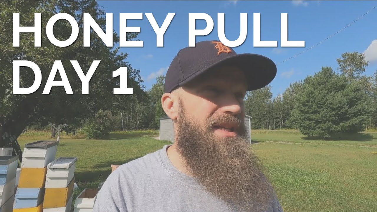 2021 Honey Harvest Day 1 | Chatting After Pulling Honey