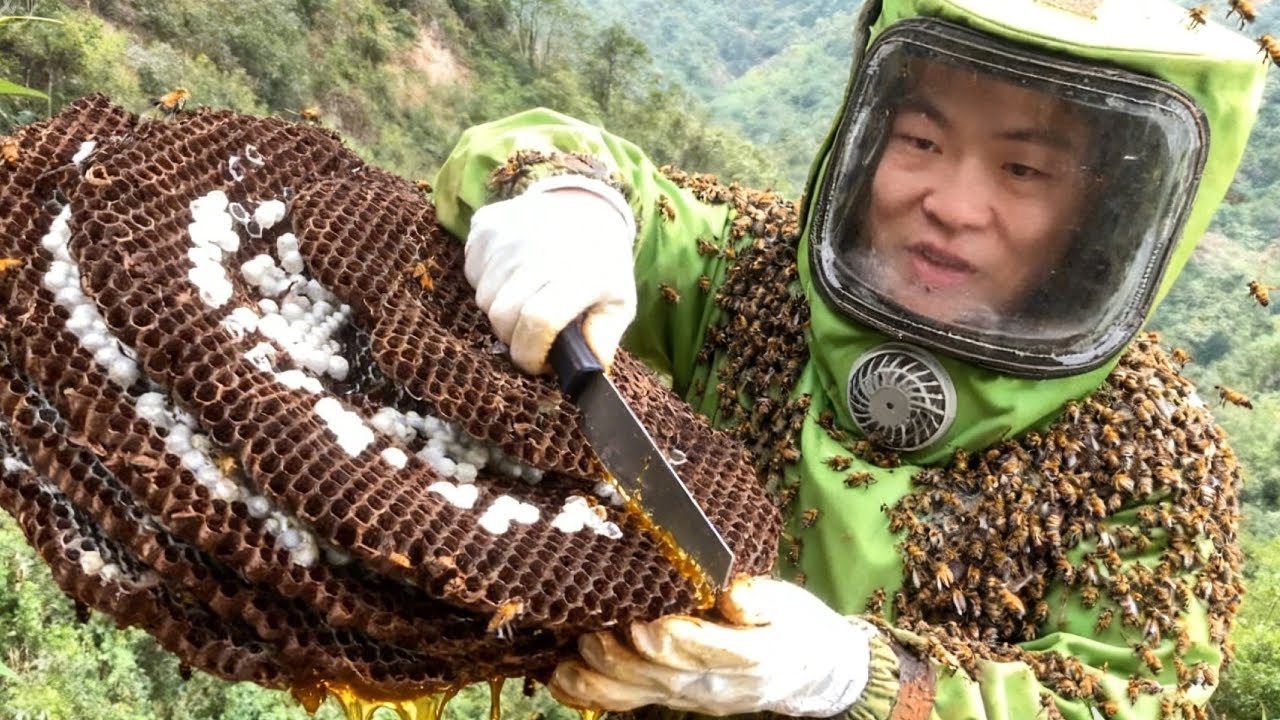 80岁独居老人被马蜂蜇伤，全家人不敢动，小成哥到地后为何想笑【蜂狂小成哥】