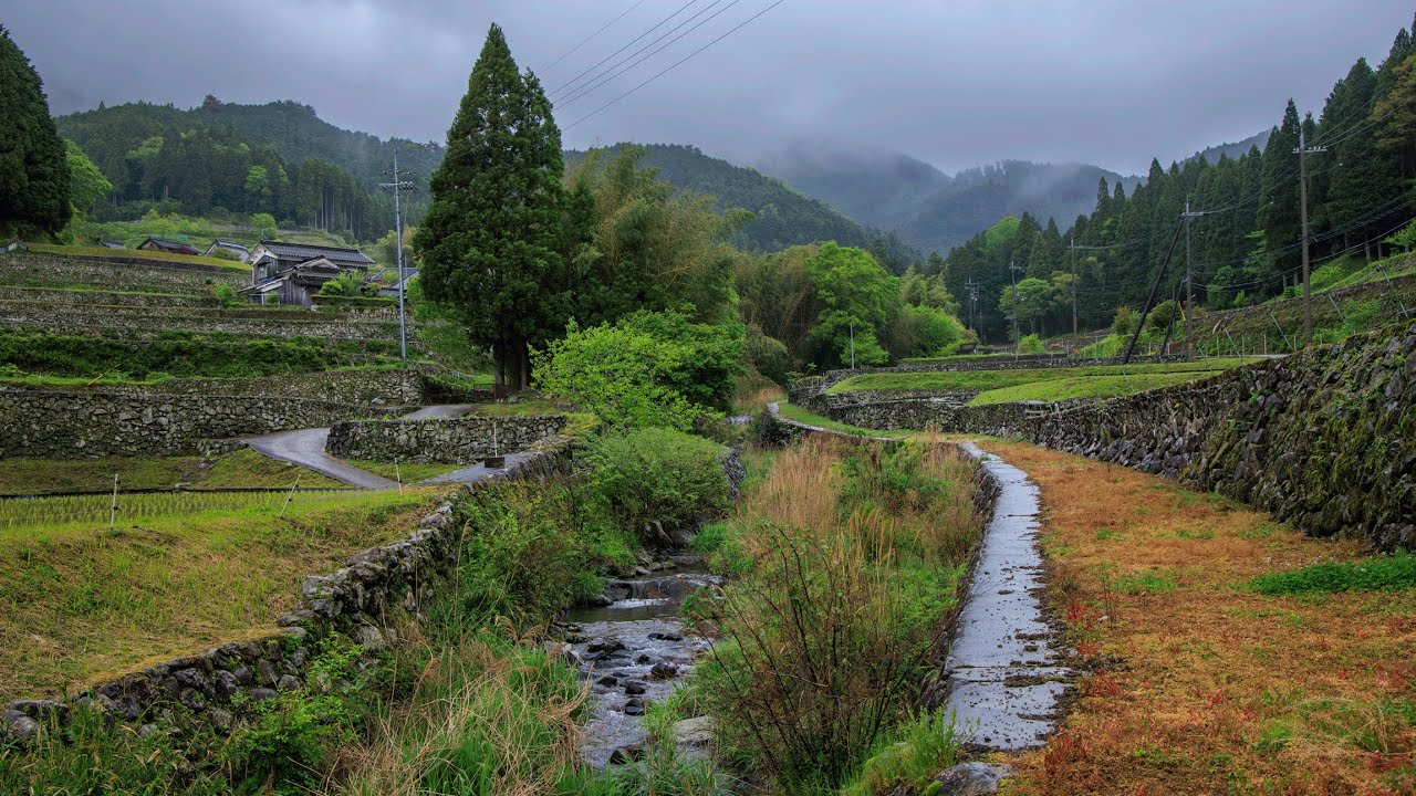 Walking in the Rain through Terraced Mountain Village | Isarigami, Japan 4K Rural Ambience - ASMR