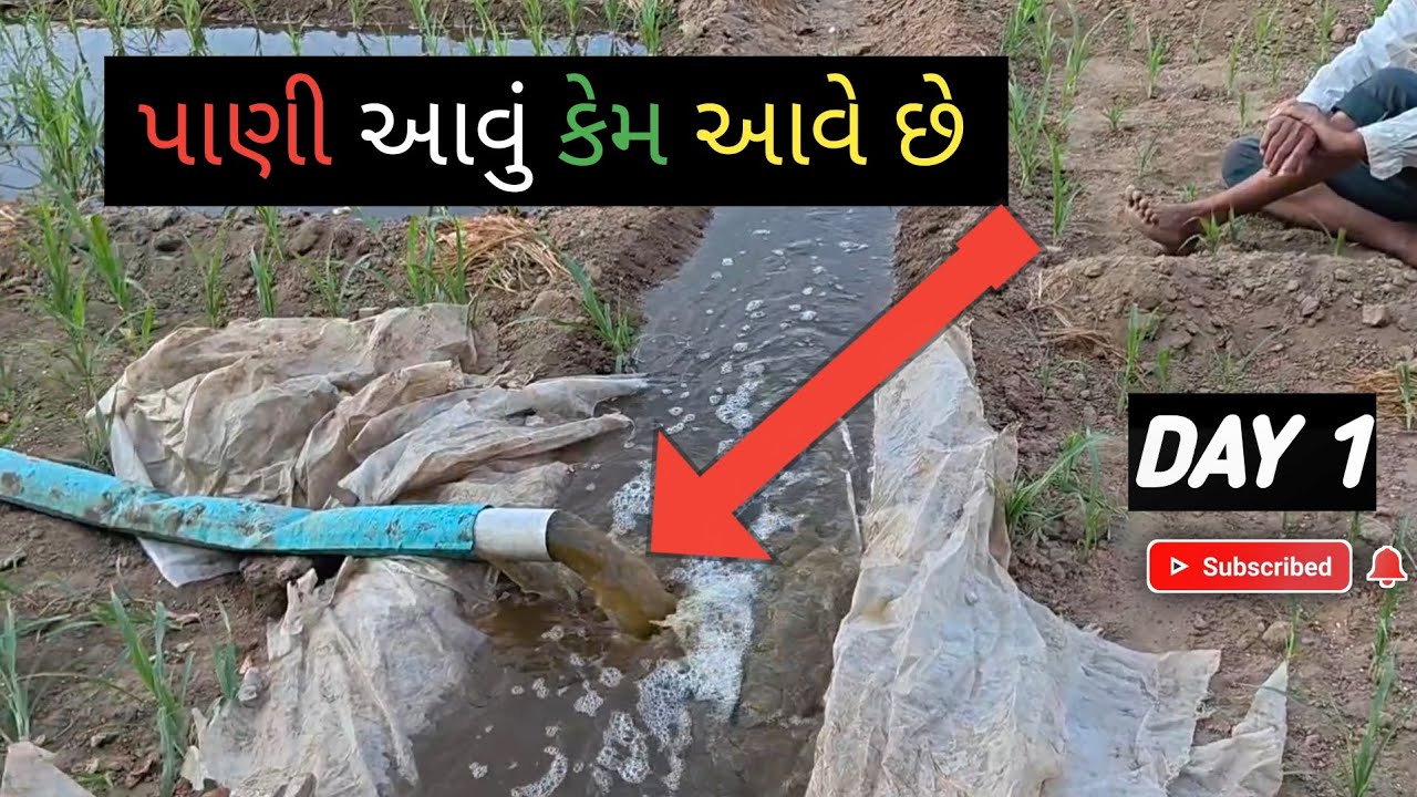 Wach full Blog 😲😲🥶 ..#blog .#agriculture #water 