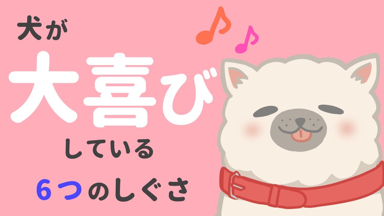 犬が大喜びしたときに見せる6つのしぐさ