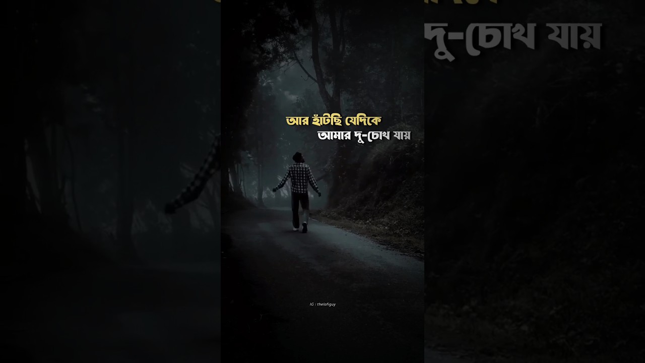 Bojhena Se Bojhena ❤️&zwj;🩹💫 #song #lyrics #status #bengalisong