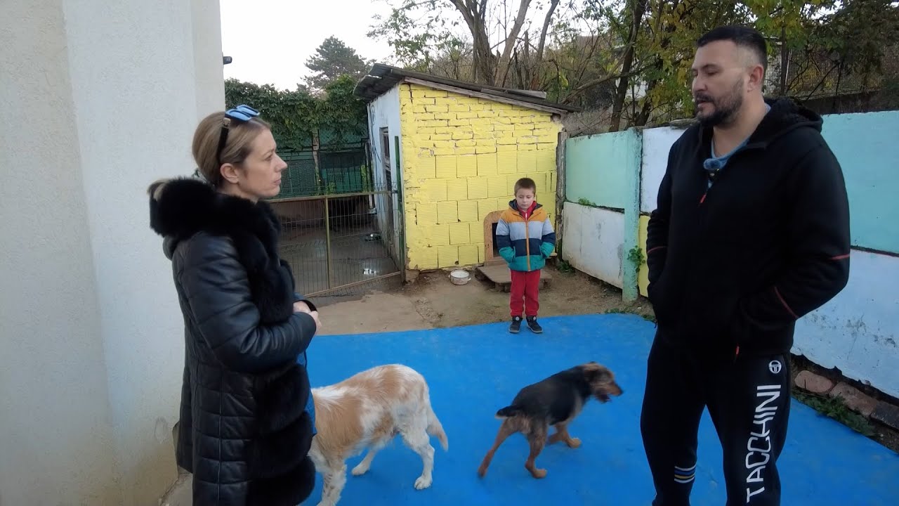 Пси луталице, одговорност грађана обавеза града - емисија бр.5 Милош Михајловић