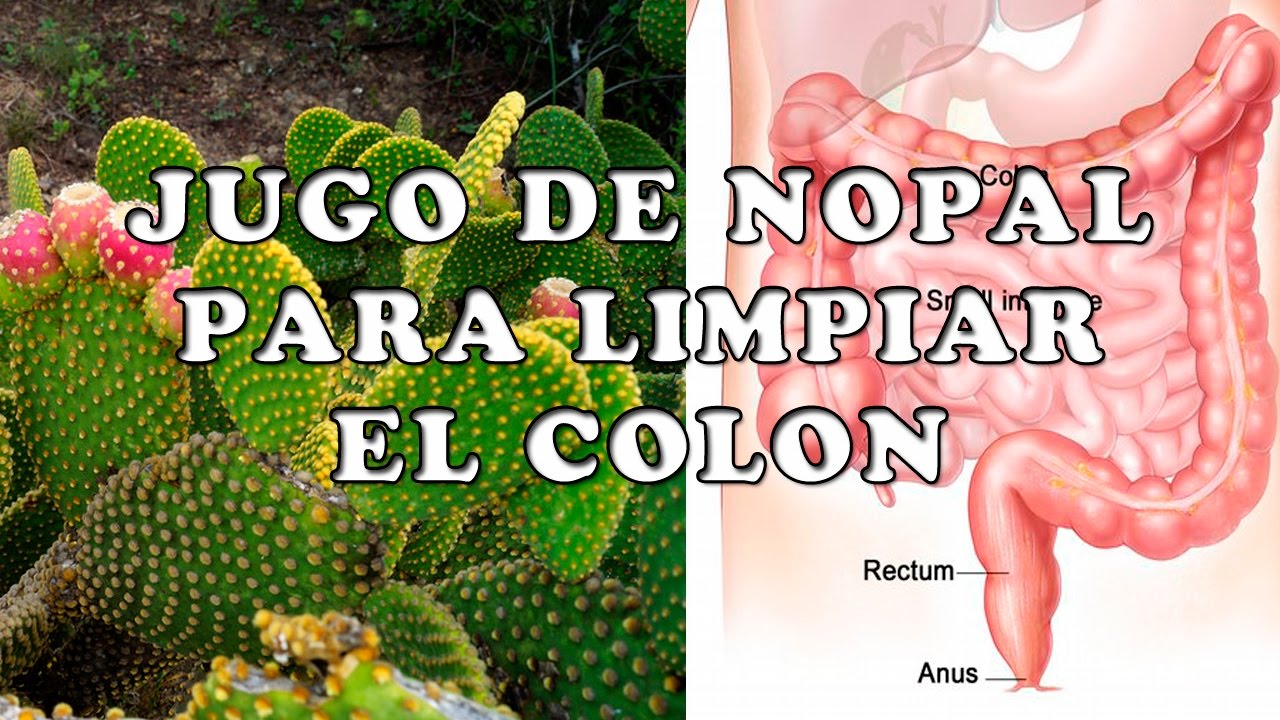 Jugo de Nopal Para Limpiar el Colon - Nopal para Desintoxicar el Col&oacute;n