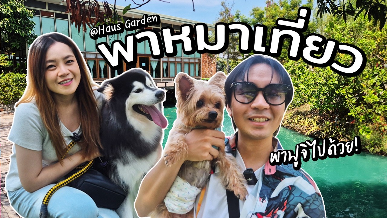 พาโฟร์กับฟูจิไปคาเฟ่ Pet Friendly // พาหมาเที่ยวด้วยกันครั้งแรก (จะกัดกันมั้ย?)
