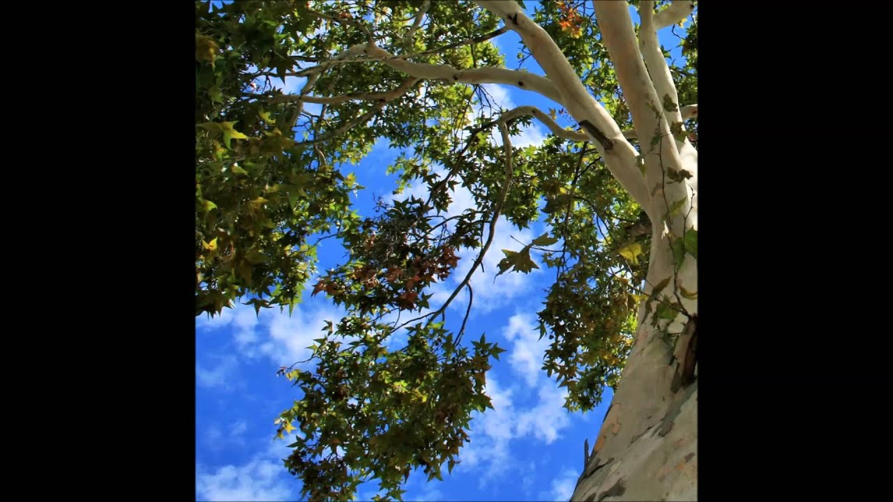 Every Time - Progressive Country Instrumental