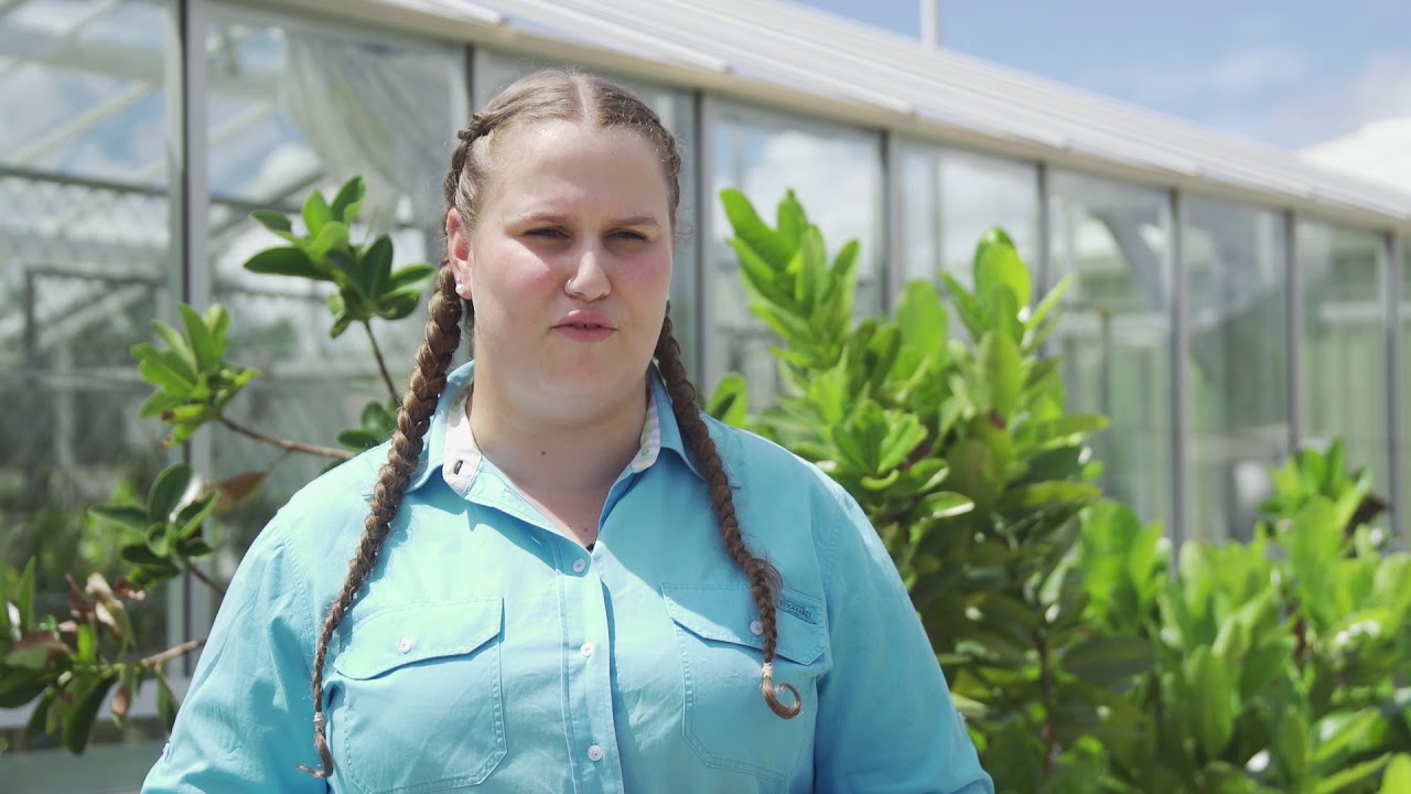 Bachelor of Agriculture