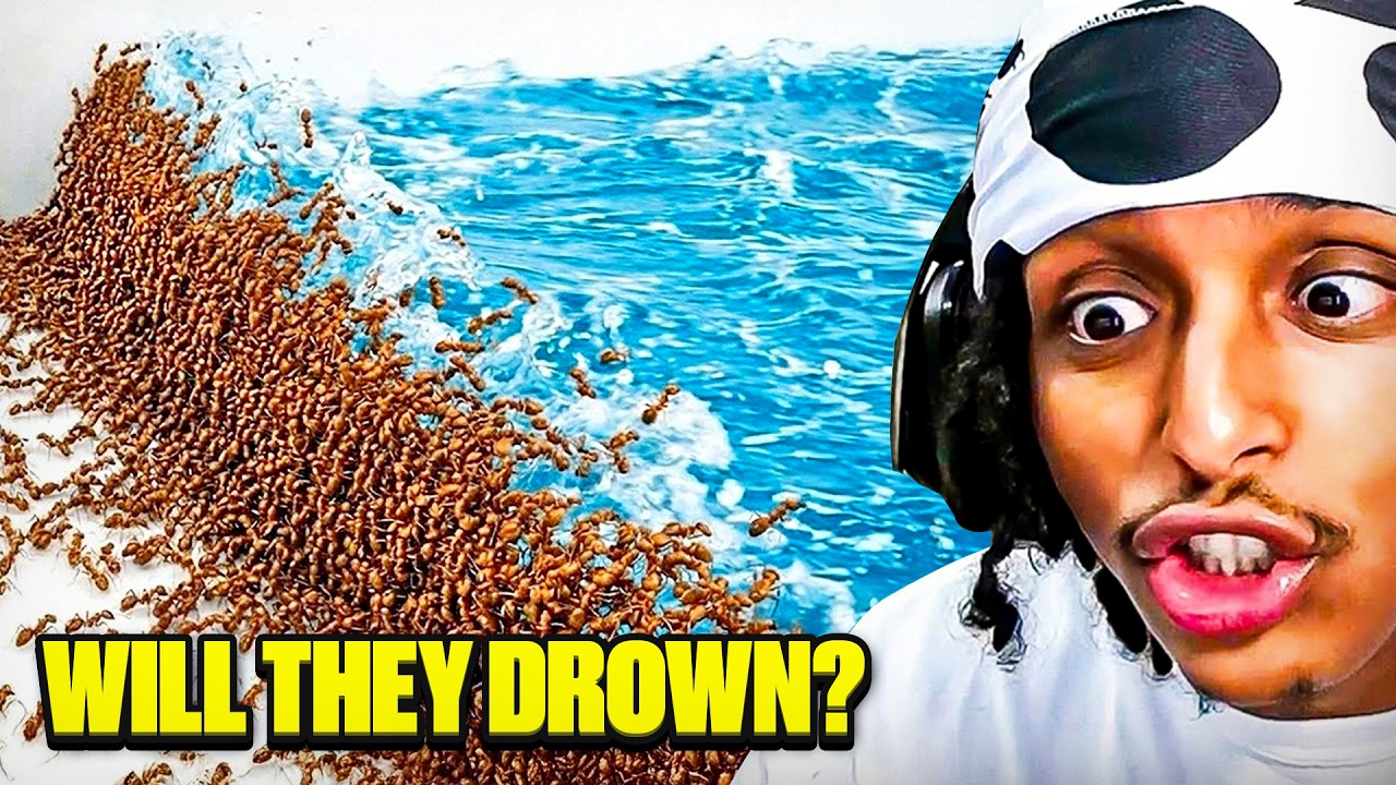 Can 1000 Ants Survive Every Natural Disaster...