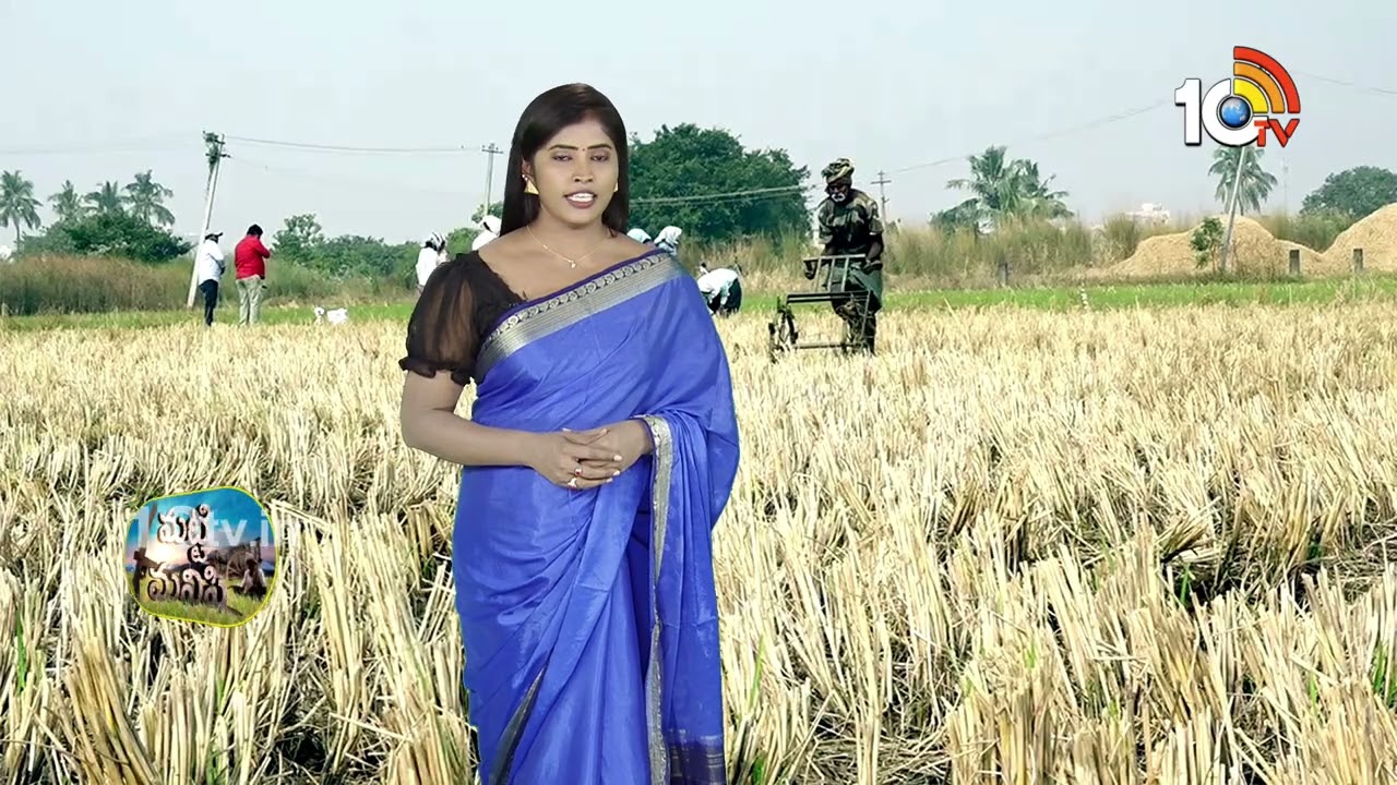 Matti Manishi Full Episode | మట్టి మనిషి | Agriculture Tips | 09-02-2026 | @10TVAgri