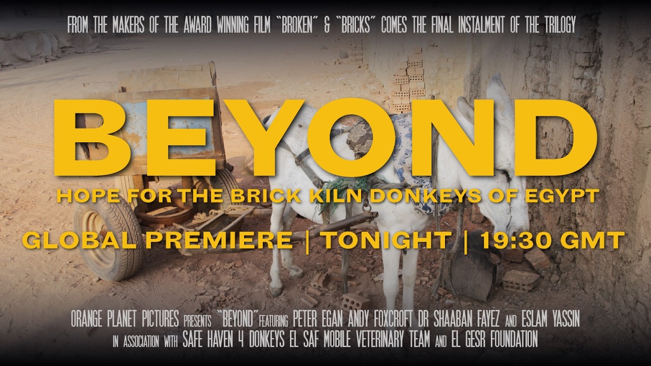 Live BEYOND Q&A with Peter Egan, Andy Foxcroft and Andrew Telling