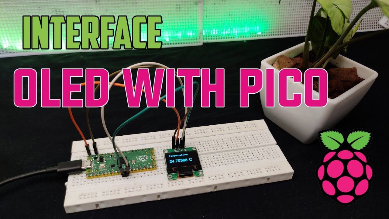 How to interface OLED with PICO | Large fonts on OLED using Micropython