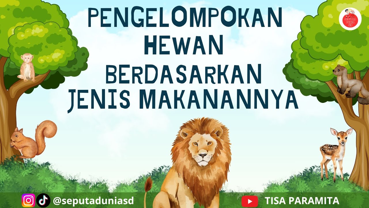 PENGELOMPOKAN HEWAN BERDASARKAN JENIS MAKANANNYA| HERBIVORA | KARNIVORA | OMNIVORA | IPAS |