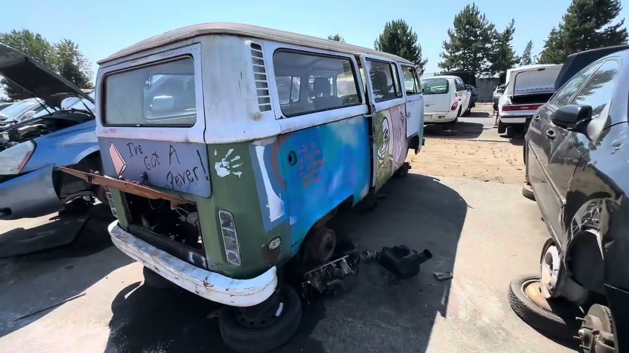 JunkYard Finds - Volkswagen Bus 