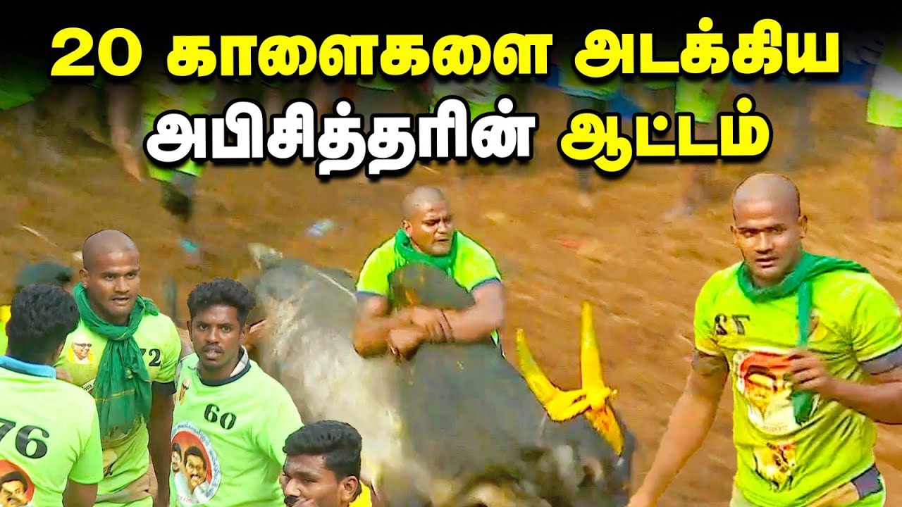 கில்லியாக 20 காளைகளை அடக்கிய அபிசித்தரின் ஆட்டம் | Jallikattu 2025 | Vikatan