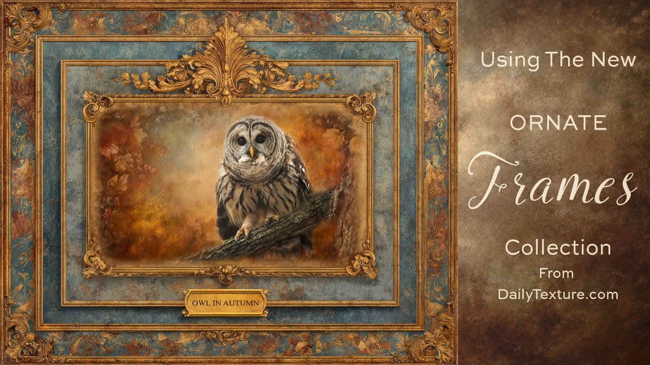 Как использовать коллекцию рамок Ornate Frames с произведениями искусства и фотографиями | Демонс...