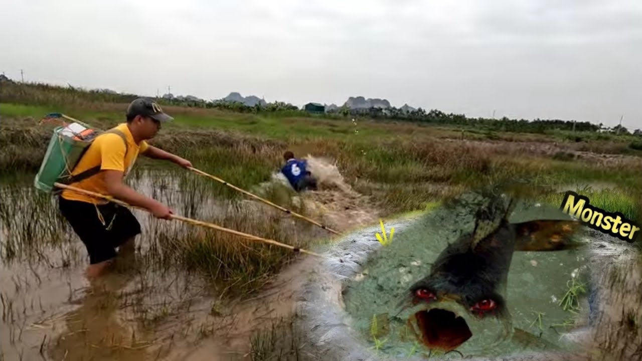 Трое молодых людей охотятся на монстров в глубоких водах дикой лагуны.