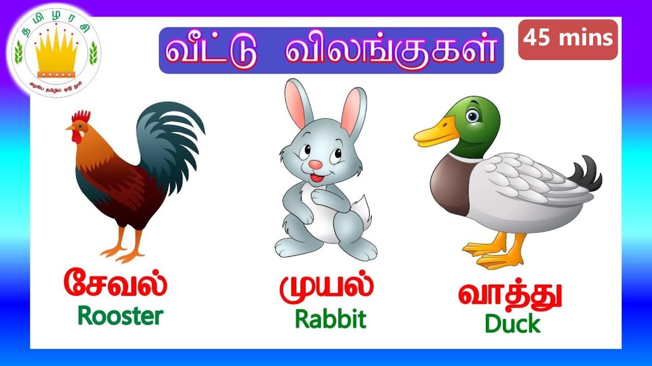 தமிழரசி-வீட்டு விலங்குகள்|Learn Farm animal names in Tamil and English collection for Kids& Children