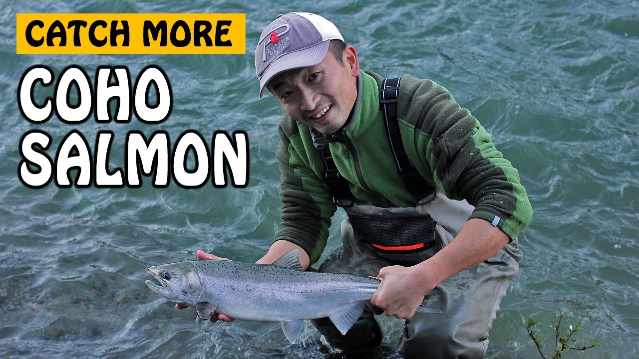 HOW TO CATCH MORE VEDDER RIVER COHO SALMON | Fishing with Rod