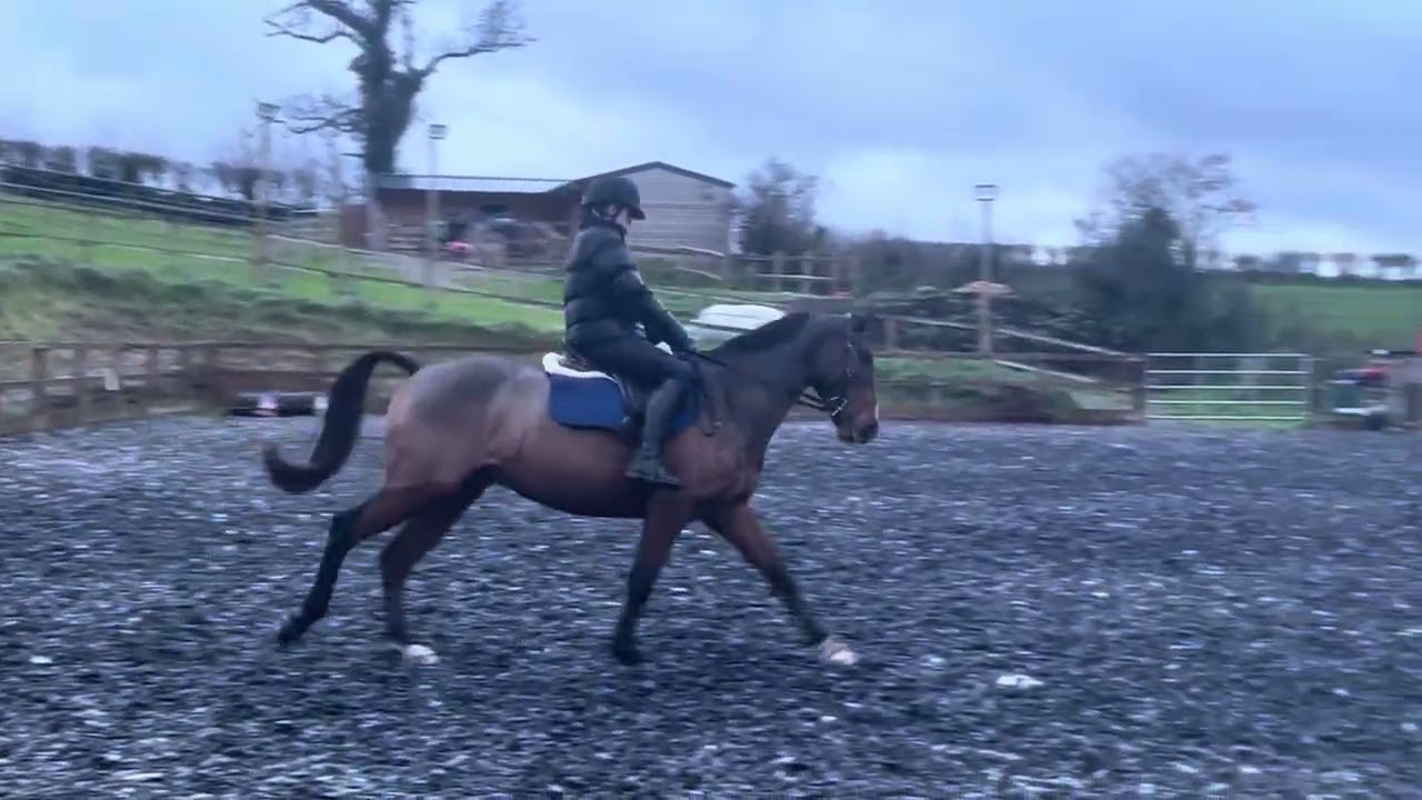 E-Riders Prelim 2C November 2025.