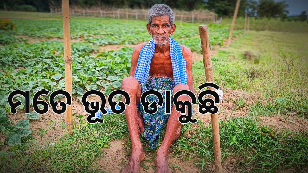 ମତେ ଭୂତ ଡାକୁଛି l Gouranga Nayak Odia Vlogs