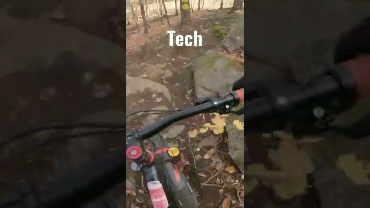 Tech or Flow MTB Trails?