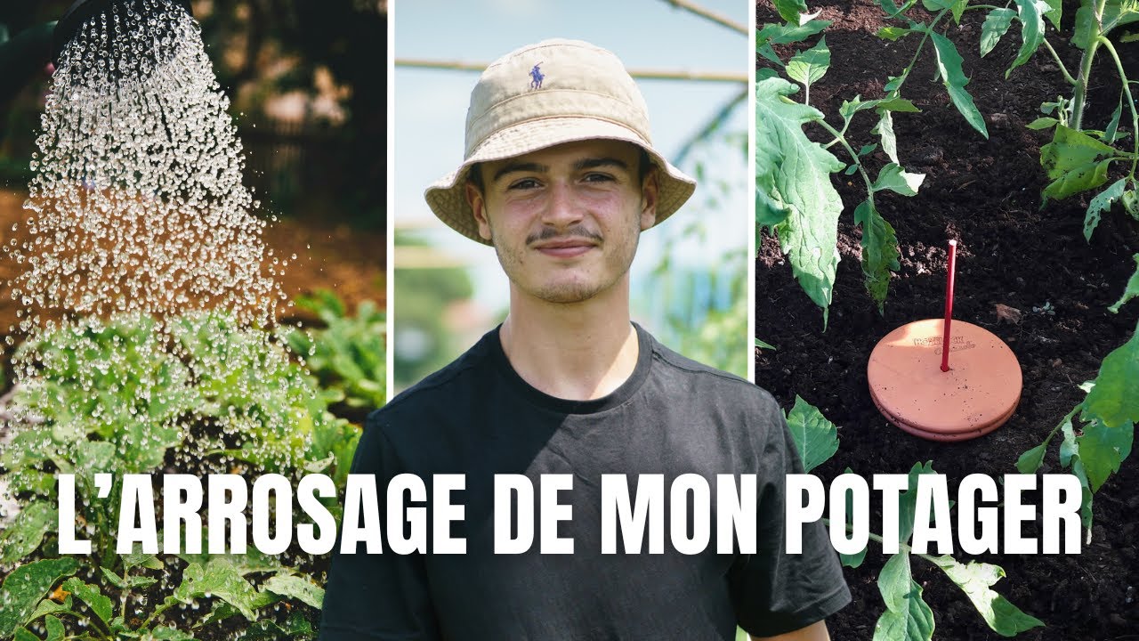 L’IRRIGATION DU POTAGER : Étapes et conseils d’installation