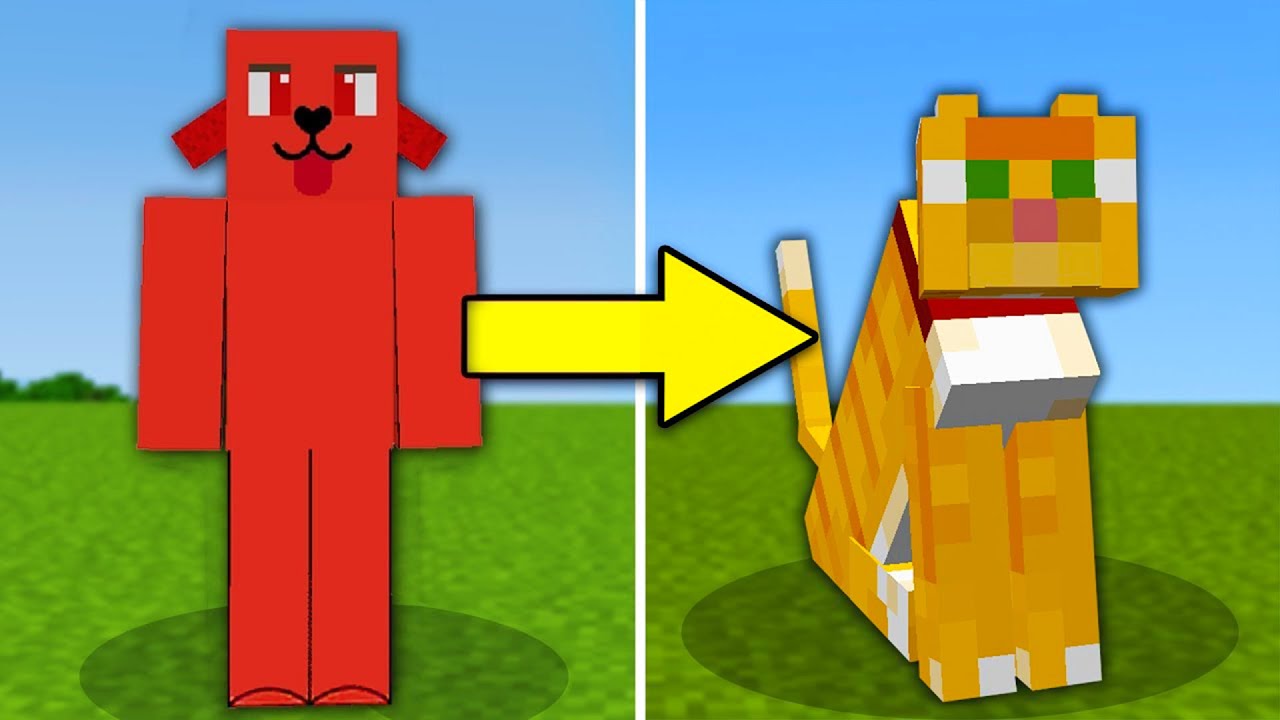 PRANKUJE MOJEGO KOLEGĘ JAKO POMOCNY KOTEK w Minecraft!