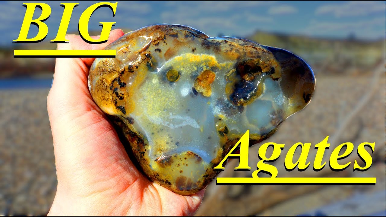 We Found a Heap of BIG MOSS AGATES & Petrified Wood!!! Fantastic Rock Hunt on the Yellowstone River!