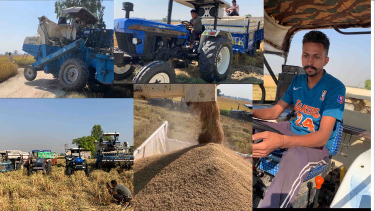 Rice 🌾Harvesting 🌾vlog | 2nd day😍| Jattlife 😎| farming 💵💰