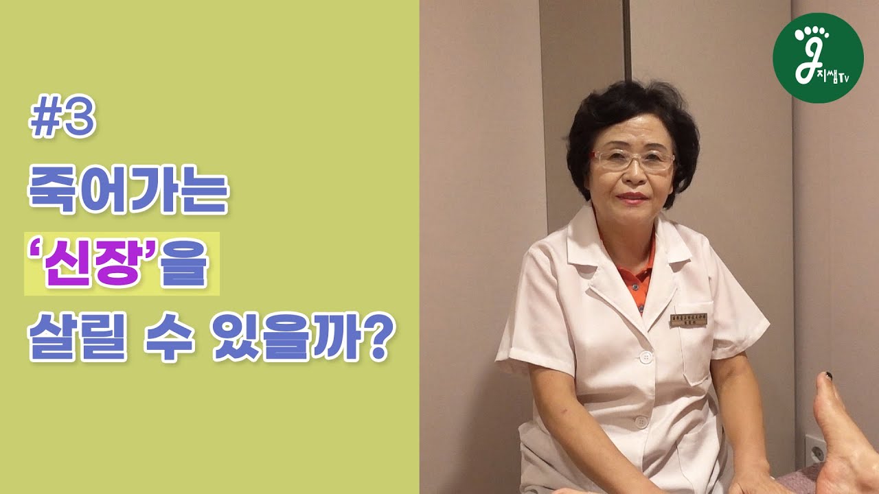 지샘TV - #3 죽어가는 신장을 살릴 수 있을까요?