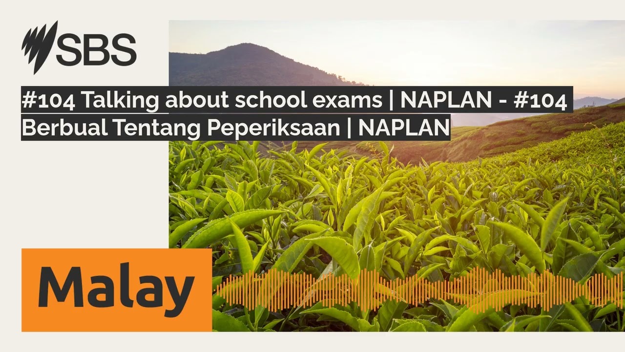 #104 Talking about school exams | NAPLAN - #104 Berbual Tentang Peperiksaan | NAPLAN | SBS...