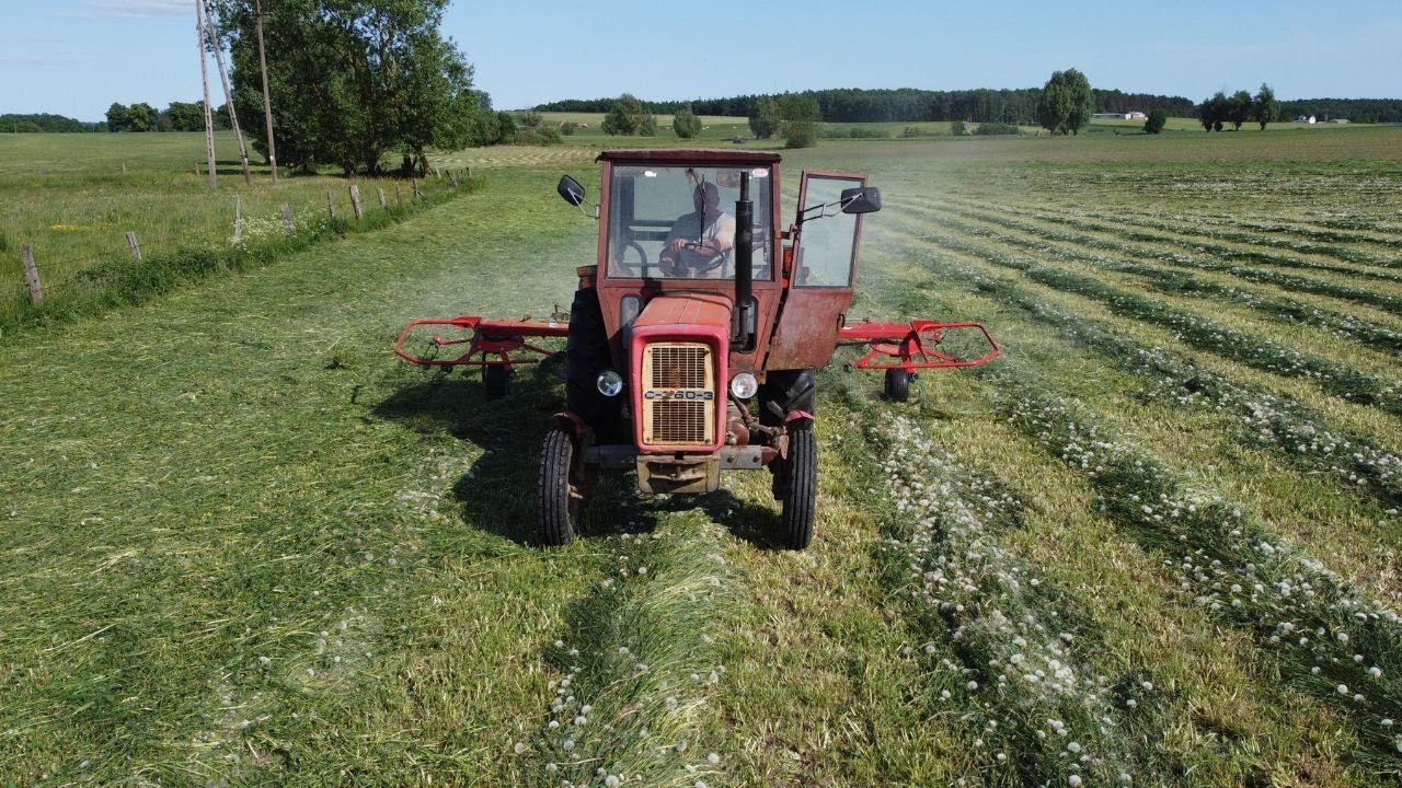 PRZETRZĄSANIE TRAWY CZERWONYM ZESTAWEM 2023/ POLSKO NORWESKA MIESZANKA /URSUS & KVERNELAND