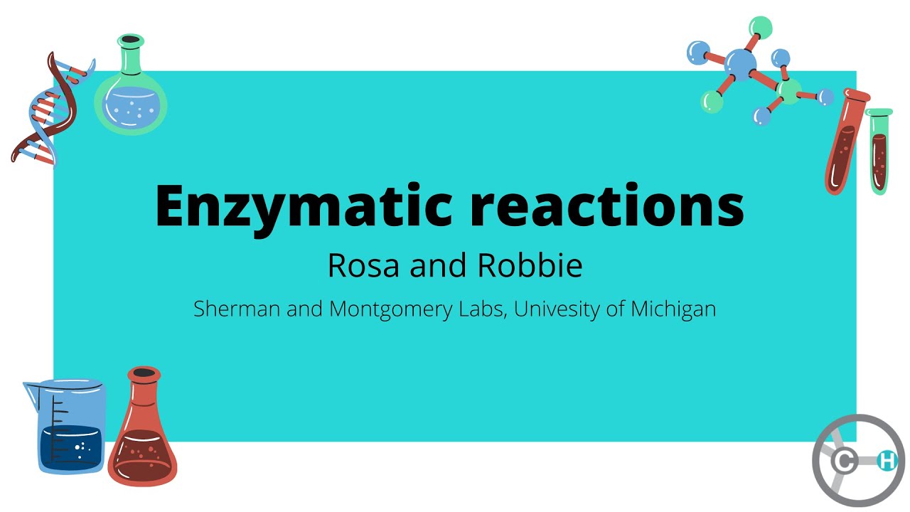 Biochemical reaction setup with Robbie and Rosa