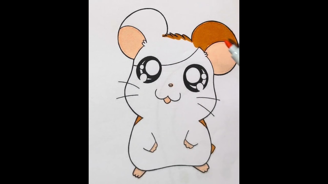 Hamtaro 🐹