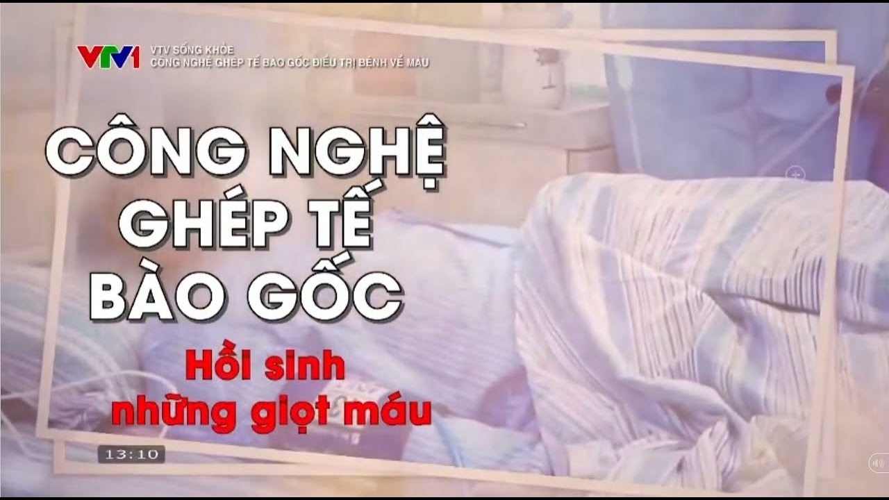 Công nghệ ghép tế bào gốc điều trị bệnh về máu