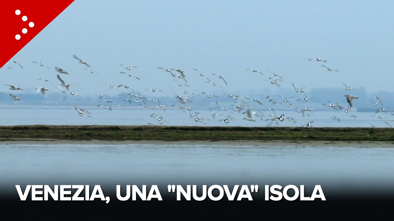 L’isola del Bacàn a Venezia appare anche in inverno, i motivi dei movimenti nella laguna