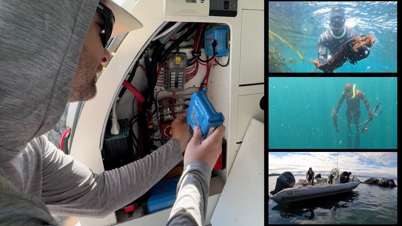 Vanlife Upgrades & Spearfishing In British Columbia - Catch & Cook