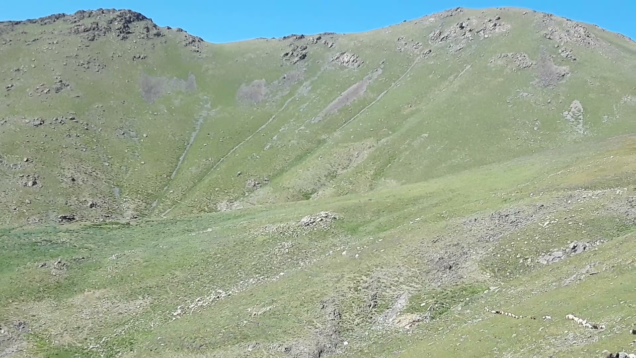Qapıcıq zirvəsi görsənir