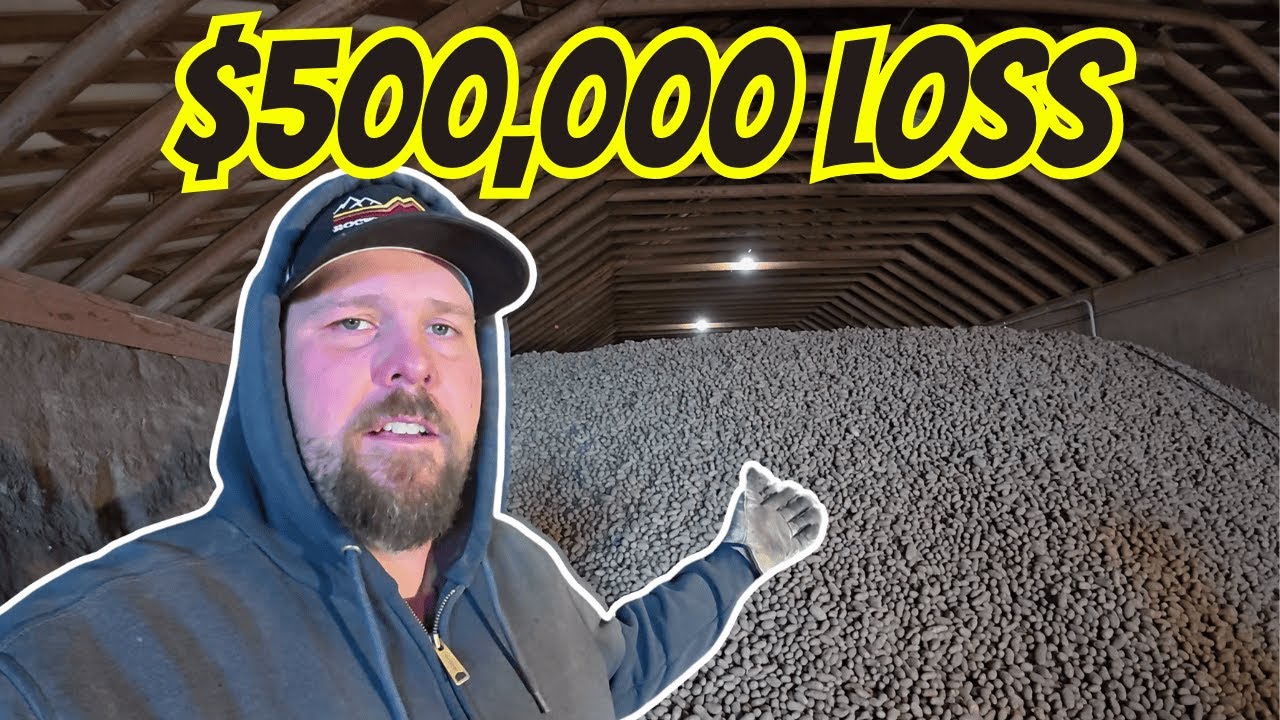 DUMPING POTATOES! This Is What a Bad Farming Year Looks Like.